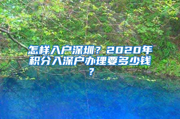 怎样入户深圳？2020年积分入深户办理要多少钱？