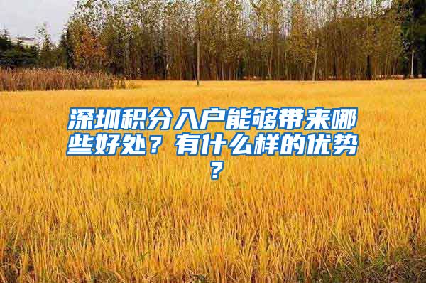 深圳积分入户能够带来哪些好处？有什么样的优势？