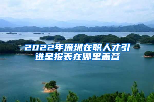 2022年深圳在职人才引进呈报表在哪里盖章