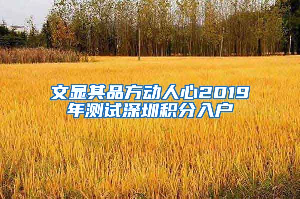 文显其品方动人心2019年测试深圳积分入户