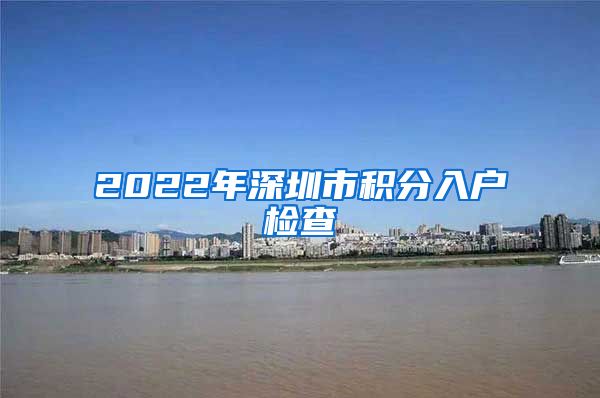 2022年深圳市积分入户检查