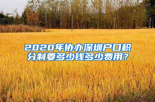 2020年协办深圳户口积分制要多少钱多少费用？
