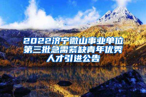 2022济宁微山事业单位第三批急需紧缺青年优秀人才引进公告