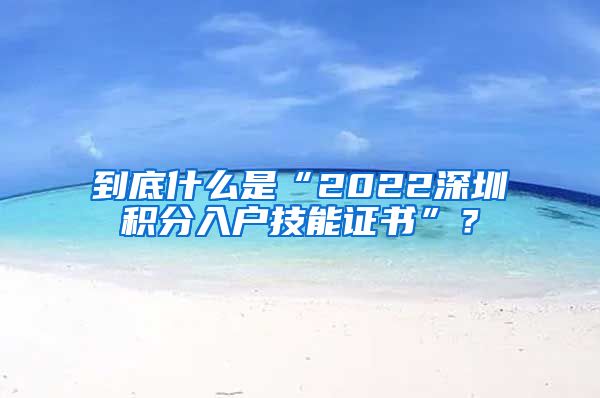 到底什么是“2022深圳积分入户技能证书”？