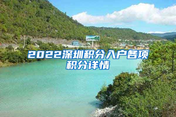 2022深圳积分入户各项积分详情