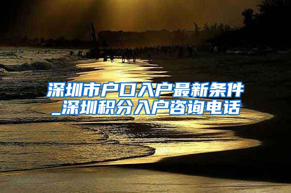 深圳市户口入户最新条件_深圳积分入户咨询电话