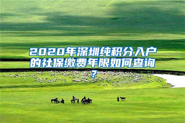 2020年深圳纯积分入户的社保缴费年限如何查询？