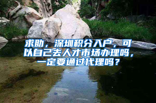 求助，深圳积分入户，可以自己去人才市场办理吗，一定要通过代理吗？