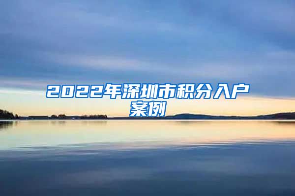 2022年深圳市积分入户案例