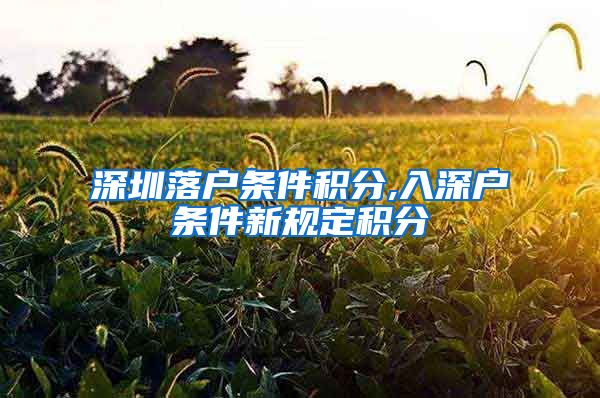 深圳落户条件积分,入深户条件新规定积分