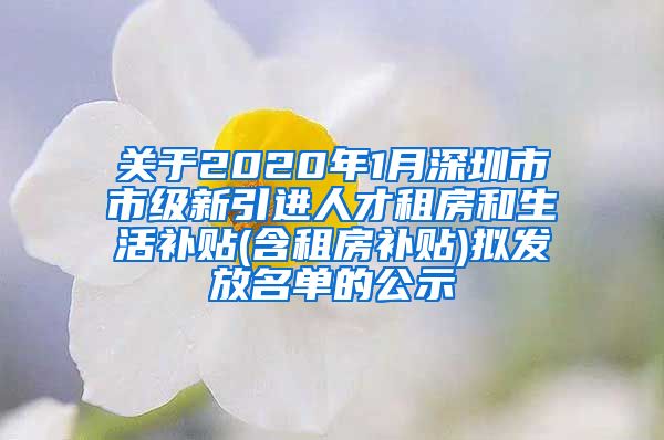 关于2020年1月深圳市市级新引进人才租房和生活补贴(含租房补贴)拟发放名单的公示