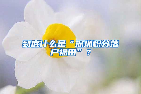 到底什么是“深圳积分落户福田”？