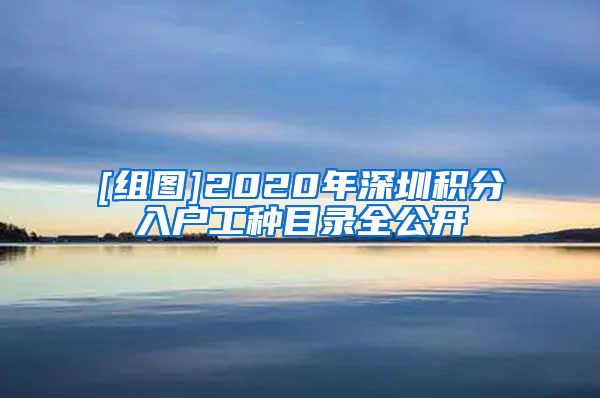 [组图]2020年深圳积分入户工种目录全公开