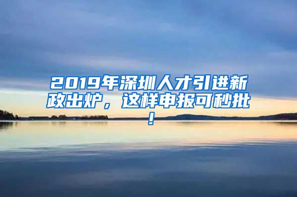 2019年深圳人才引进新政出炉，这样申报可秒批！