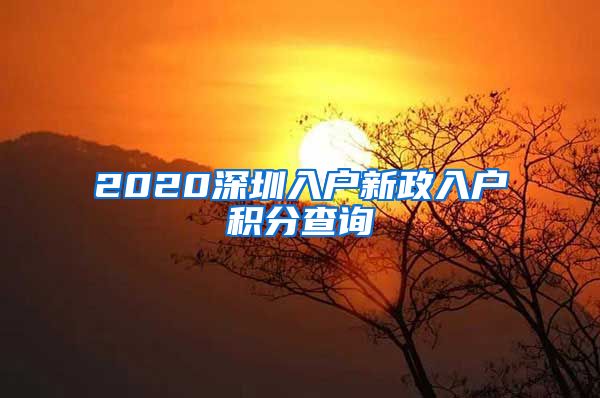 2020深圳入户新政入户积分查询