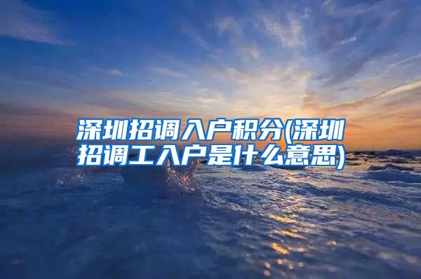 深圳招调入户积分(深圳招调工入户是什么意思)