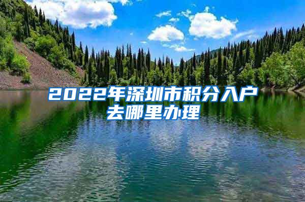 2022年深圳市积分入户去哪里办理