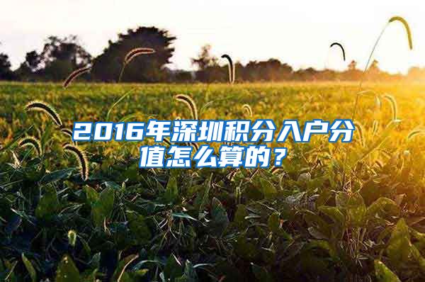 2016年深圳积分入户分值怎么算的？