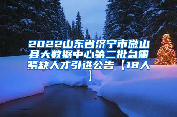 2022山东省济宁市微山县大数据中心第二批急需紧缺人才引进公告【18人】