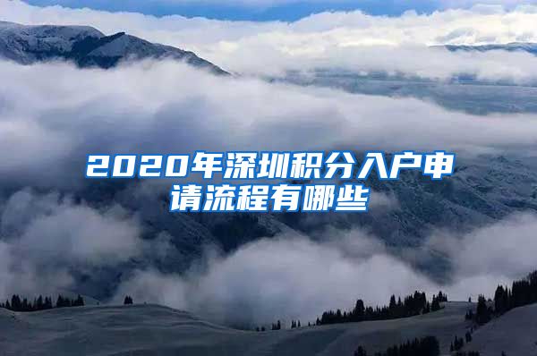 2020年深圳积分入户申请流程有哪些