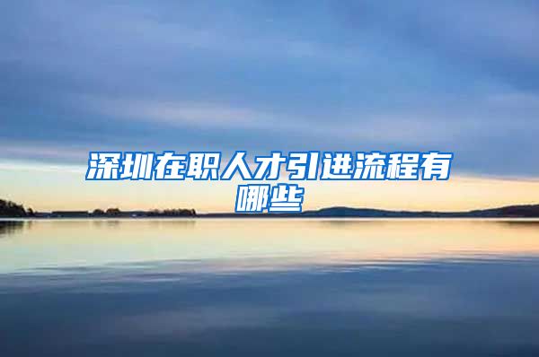 深圳在职人才引进流程有哪些