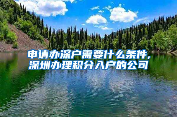 申请办深户需要什么条件,深圳办理积分入户的公司