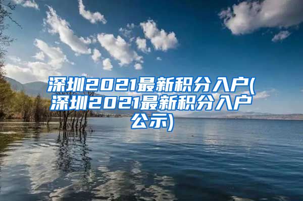 深圳2021最新积分入户(深圳2021最新积分入户公示)