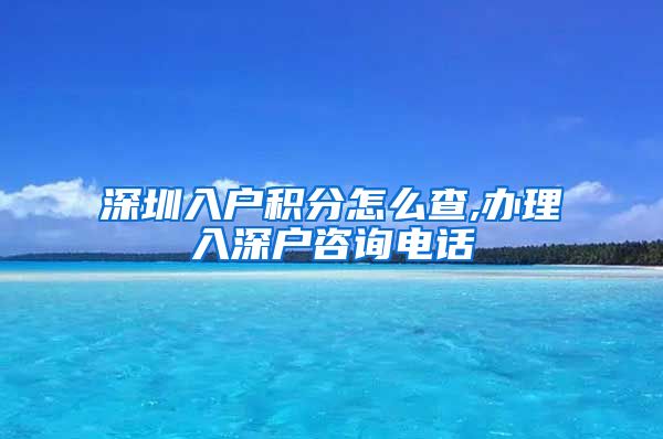 深圳入户积分怎么查,办理入深户咨询电话