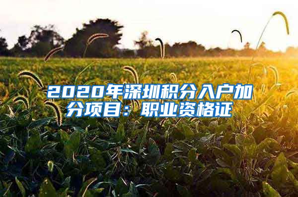 2020年深圳积分入户加分项目：职业资格证