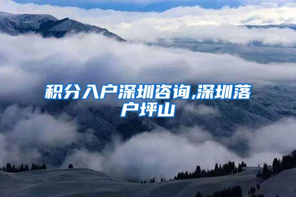 积分入户深圳咨询,深圳落户坪山