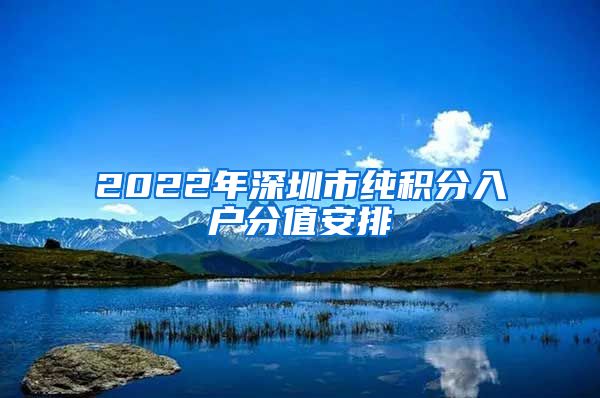 2022年深圳市纯积分入户分值安排