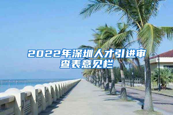 2022年深圳人才引进审查表意见栏