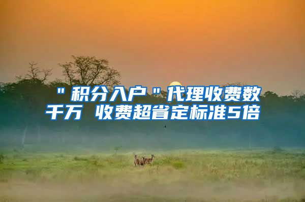 ＂积分入户＂代理收费数千万 收费超省定标准5倍