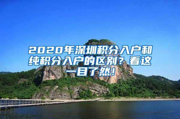 2020年深圳积分入户和纯积分入户的区别？看这一目了然！