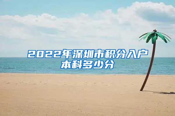 2022年深圳市积分入户本科多少分