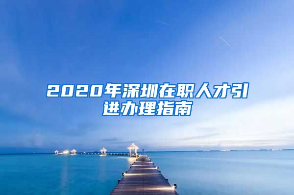 2020年深圳在职人才引进办理指南