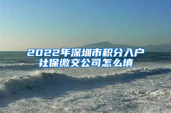 2022年深圳市积分入户社保缴交公司怎么填