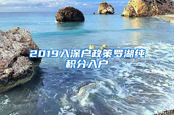 2019入深户政策罗湖纯积分入户