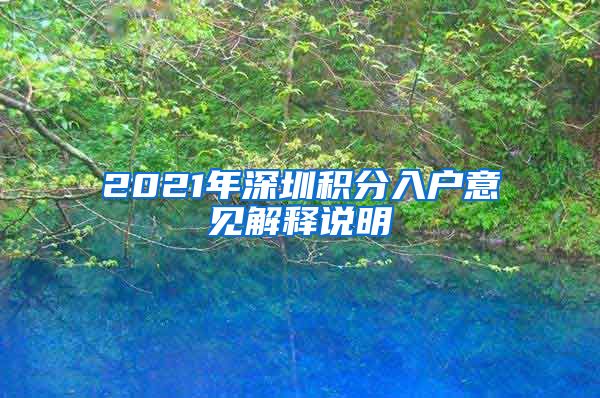 2021年深圳积分入户意见解释说明