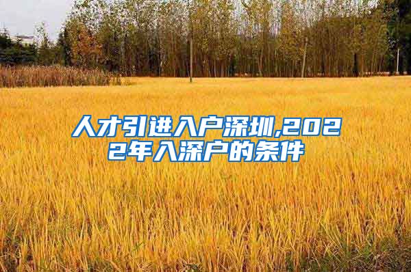 人才引进入户深圳,2022年入深户的条件