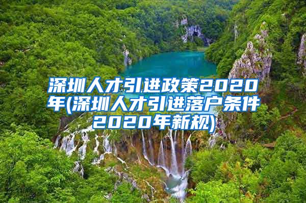 深圳人才引进政策2020年(深圳人才引进落户条件2020年新规)