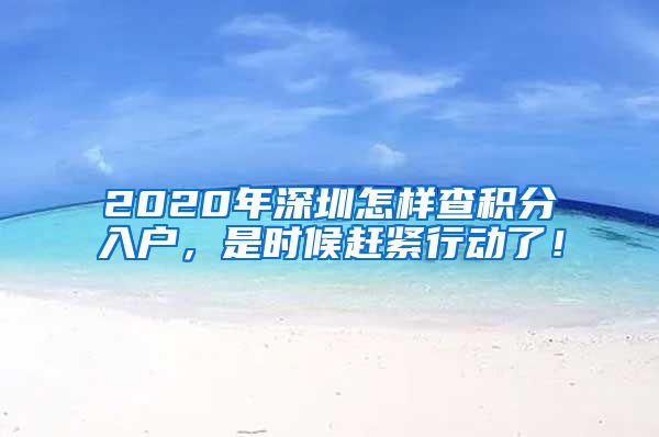 2020年深圳怎样查积分入户，是时候赶紧行动了！