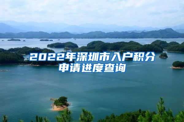 2022年深圳市入户积分申请进度查询