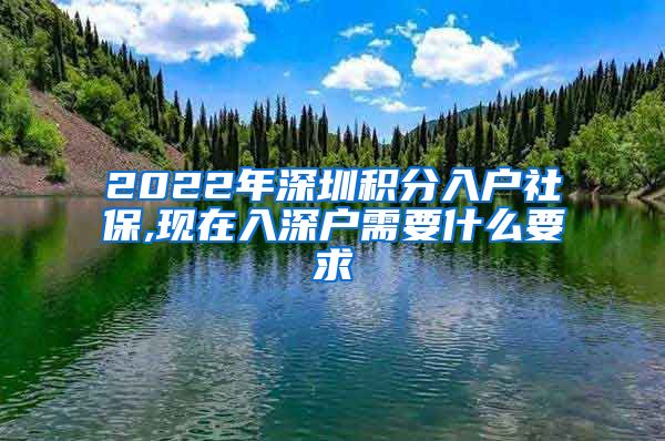 2022年深圳积分入户社保,现在入深户需要什么要求