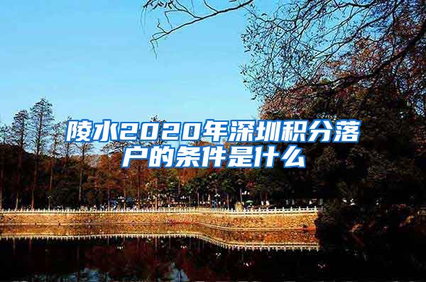 陵水2020年深圳积分落户的条件是什么