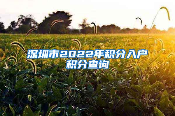 深圳市2022年积分入户积分查询