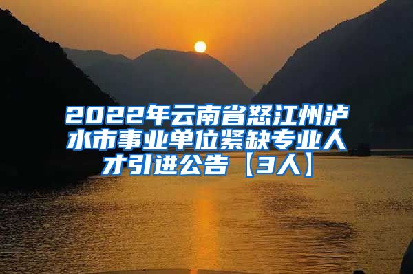 2022年云南省怒江州泸水市事业单位紧缺专业人才引进公告【3人】