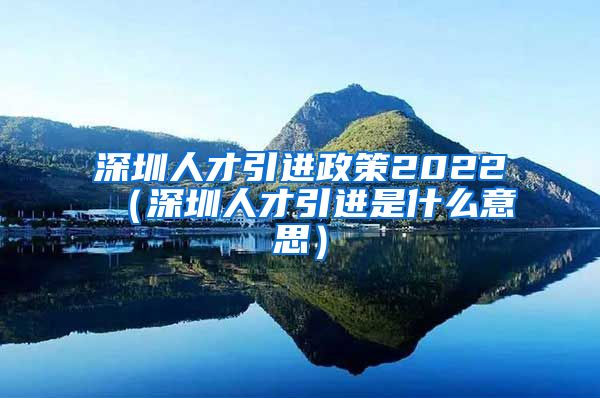 深圳人才引进政策2022（深圳人才引进是什么意思）