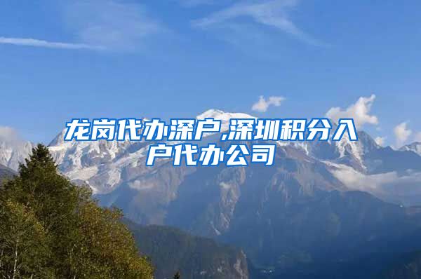 龙岗代办深户,深圳积分入户代办公司