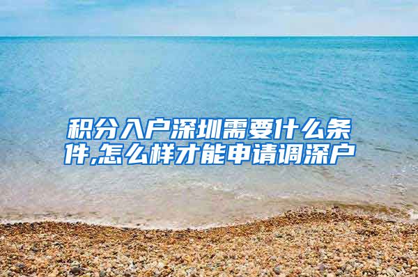 积分入户深圳需要什么条件,怎么样才能申请调深户